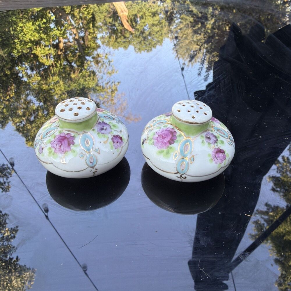 Antique Nippon Moriage Hand Painted Floral Porcelain Salt & Pepper Shakers